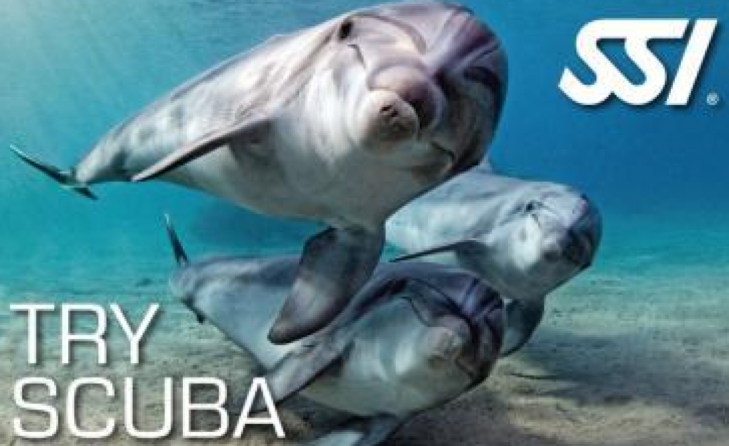 SSI SCUBA DIVER